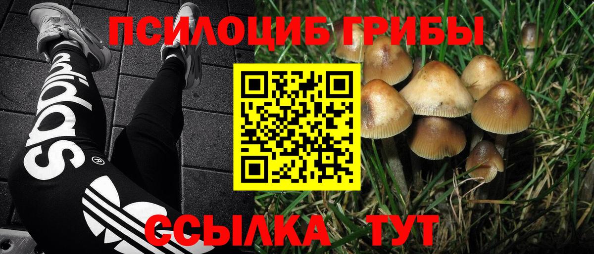 Псилоцибиновые грибы мицелий  Вход с VPN  Нягань 